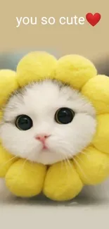 Cute kitten in yellow flower costume with 'you so cute' text.