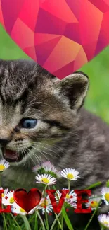 Adorable tabby kitten with heart balloon and daisies.