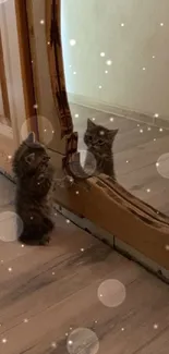 Cute kitten gazing into a wooden framed mirror on a light wood floor.