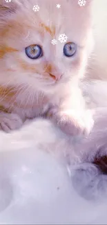 Adorable orange kitten with blue eyes on fluffy fur background.