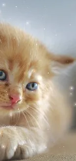 Adorable orange kitten with blue eyes resting.