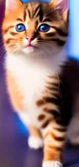 Adorable fluffy kitten with blue eyes, against a colorful background.