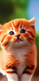 Adorable orange kitten with blue eyes, perfect mobile wallpaper.