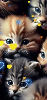 Cute kittens with blue eyes in a close-up mobile wallpaper.