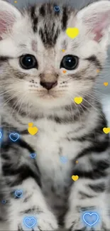 Adorable tabby kitten posing as mobile wallpaper.