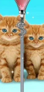 Two cute orange kittens with blue eyes and a zipper design on a mobile wallpaper.