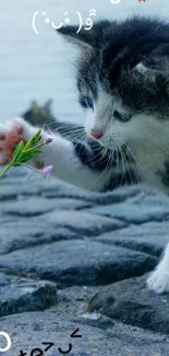 Playful kitten greeting morning with flowers over rocky surface.