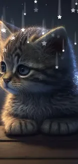 Adorable kitten under a starlit sky, perfect mobile wallpaper for cat lovers.