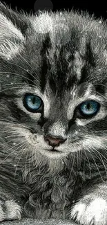 Adorable gray kitten with blue eyes on black background.