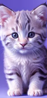 Adorable kitten with blue eyes on a purple background.