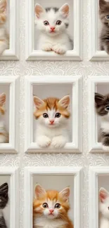 A grid of adorable kittens framed neatly in a photo wallpaper.