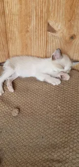 A small kitten sleeping on a textured brown cushion against a wooden wall.