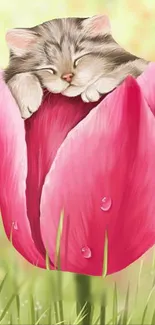 Adorable kitten nestled inside vibrant pink tulip.