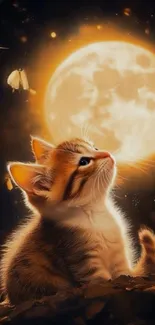 Cute kitten gazing at full moon with butterflies around.