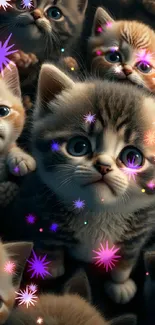 Cute kittens with big eyes in soft light mobile wallpaper.