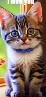 Cute tabby kitten with blue collar by window saying I love you.