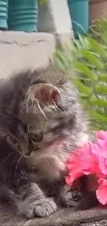 Fluffy grey kitten with pink flower outdoors.