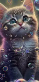 Cute kitten with colorful bubbles wallpaper.