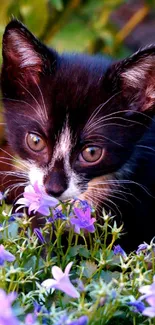 Black and white kitten explores purple flowers.