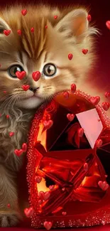 Adorable fluffy kitten holding a red heart on a vibrant background.