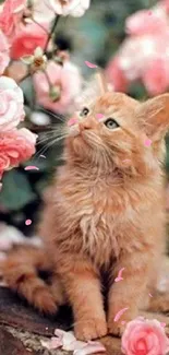 Cute orange kitten surrounded by pink roses.