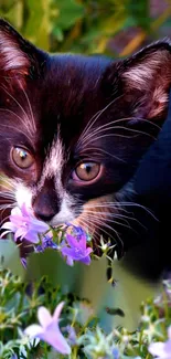 Cute kitten with purple flowers in vibrant nature scene.