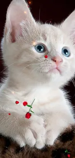 Cream kitten with red flowers, blue eyes, looking upward.