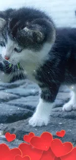 Adorable kitten playing with a flower surrounded by red hearts.