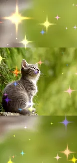 Gray kitten with sparkles on a green background, perfect for mobile wallpaper.