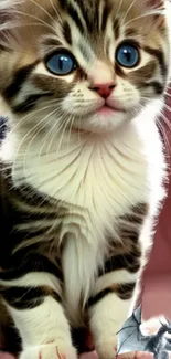 Charming kitten with blue eyes and a tiny bat on a light pink background.