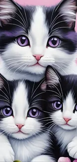 Trio of cute kittens with purple eyes on a pink fantasy background.