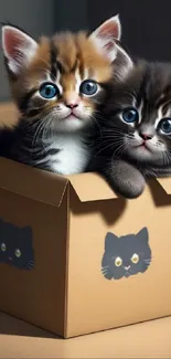 Two adorable kittens peeking from a cardboard box, cute mobile wallpaper.