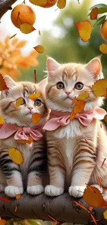 Two cute kittens with pink bows among autumn leaves.