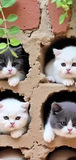 Adorable kittens peeking from brick wall hideouts.
