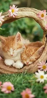 Two kittens sleeping in a floral log with pink daisies.