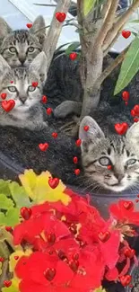 Four kittens nestled in a garden pot with surrounding flowers.