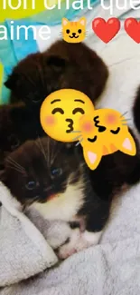 Cute kittens with emojis on a soft blanket.