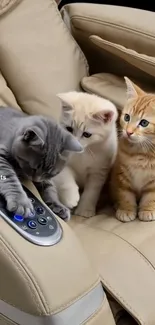 Three adorable kittens sitting on a leather couch.