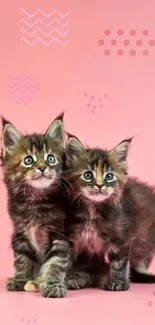 Two kittens sit playfully on a pink background with geometric patterns.