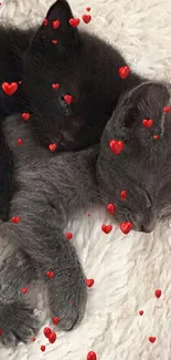 Two fluffy kittens sleeping on a soft beige blanket.