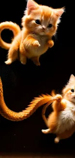 Two orange kittens play with snake tail.