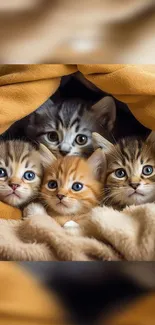 Four adorable kittens cuddled under an orange blanket.