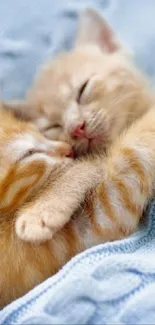 Ginger kittens snuggle in soft blue blanket.