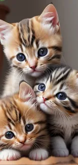 Three playful kittens with bright eyes and colorful fur snuggle together.