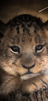 A close-up of an adorable lion cub resting on a tree log.