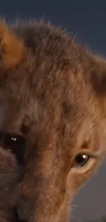 Close-up of an adorable lion cub with soft fur and deep brown eyes.