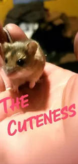 An adorable mouse resting in a hand with 'The Cuteness' text.