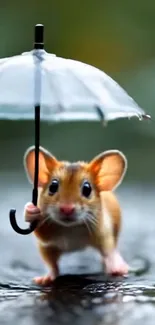 Adorable mouse holding a tiny umbrella.