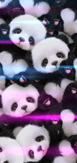 Adorable panda faces mobile wallpaper