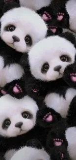 Adorable plush panda bears mobile wallpaper background.